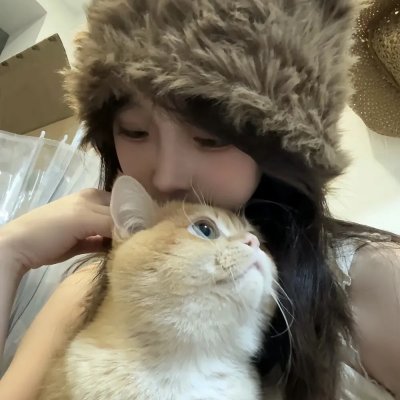 爱丽丝漫游城市